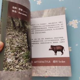 关坝物种名录手册