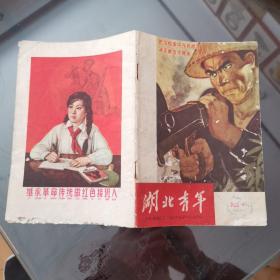 湖北青年  试刊号  1965年