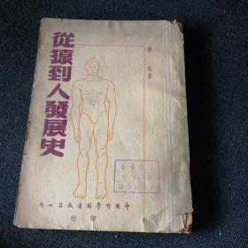 從猿到人發(fā)展史（1950年）