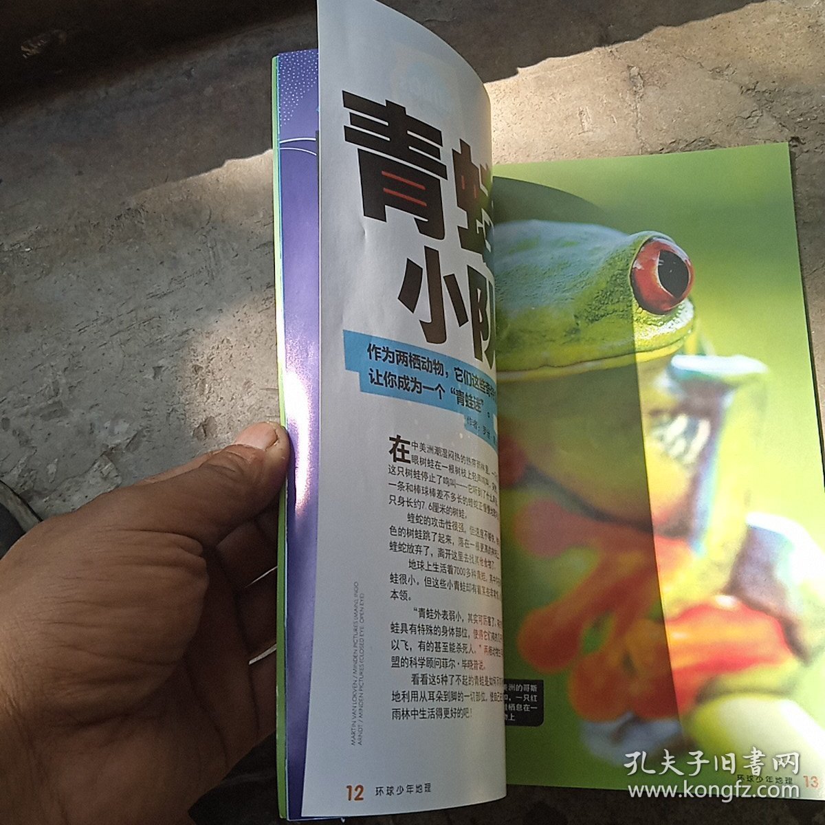 环球少年地理2022年，3