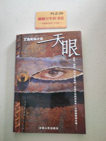 丁力商场小说：天眼