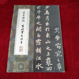 中国最具代表性碑帖临摹范本丛书-前赤壁赋·黄州寒食诗卷 书品如图