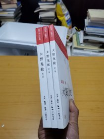 大野龙蛇（全三册）：红楼梦断第七部