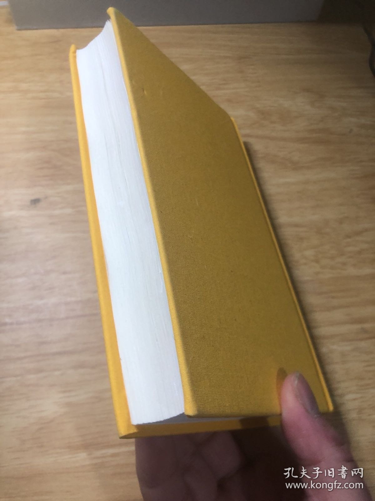 历史悲剧的维度 欧洲电影大师访谈与研究