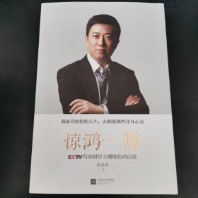 惊鸿一瞥：CCTV首席财经主播陈伟鸿自述