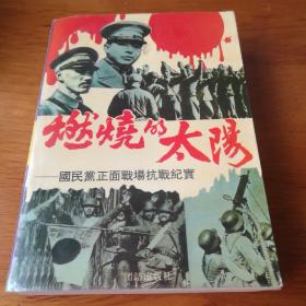 燃烧的太阳：国民党正面战场抗战纪实 【 正版品好 一版一印 现货实拍 无笔迹划线 】