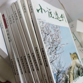 小说选刊九本合售