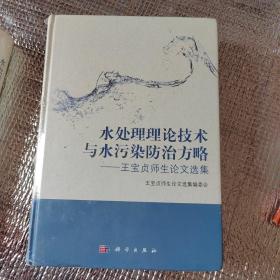 水處理理論技術(shù)與水污染防治方略：王寶貞師生論文選集