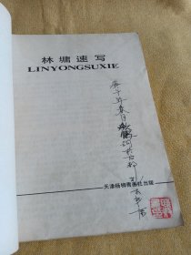 林墉速写