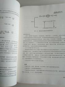 外汇交易圣经：囊括全球最新外汇交易策略的革命性体系