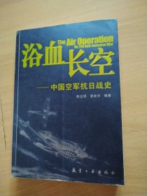 浴血长空：中国空军抗日战史
