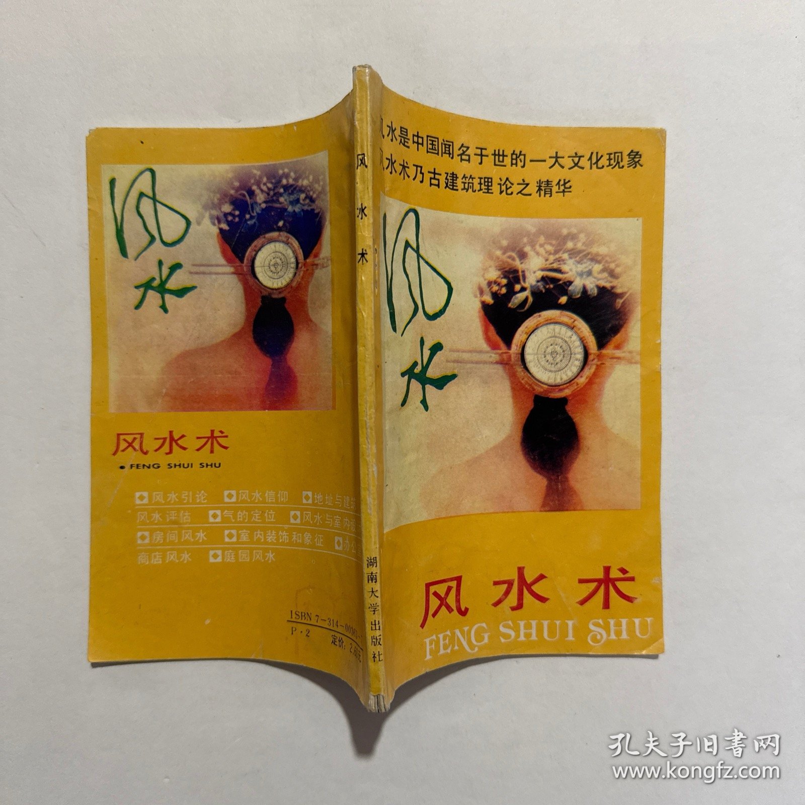 风水术
