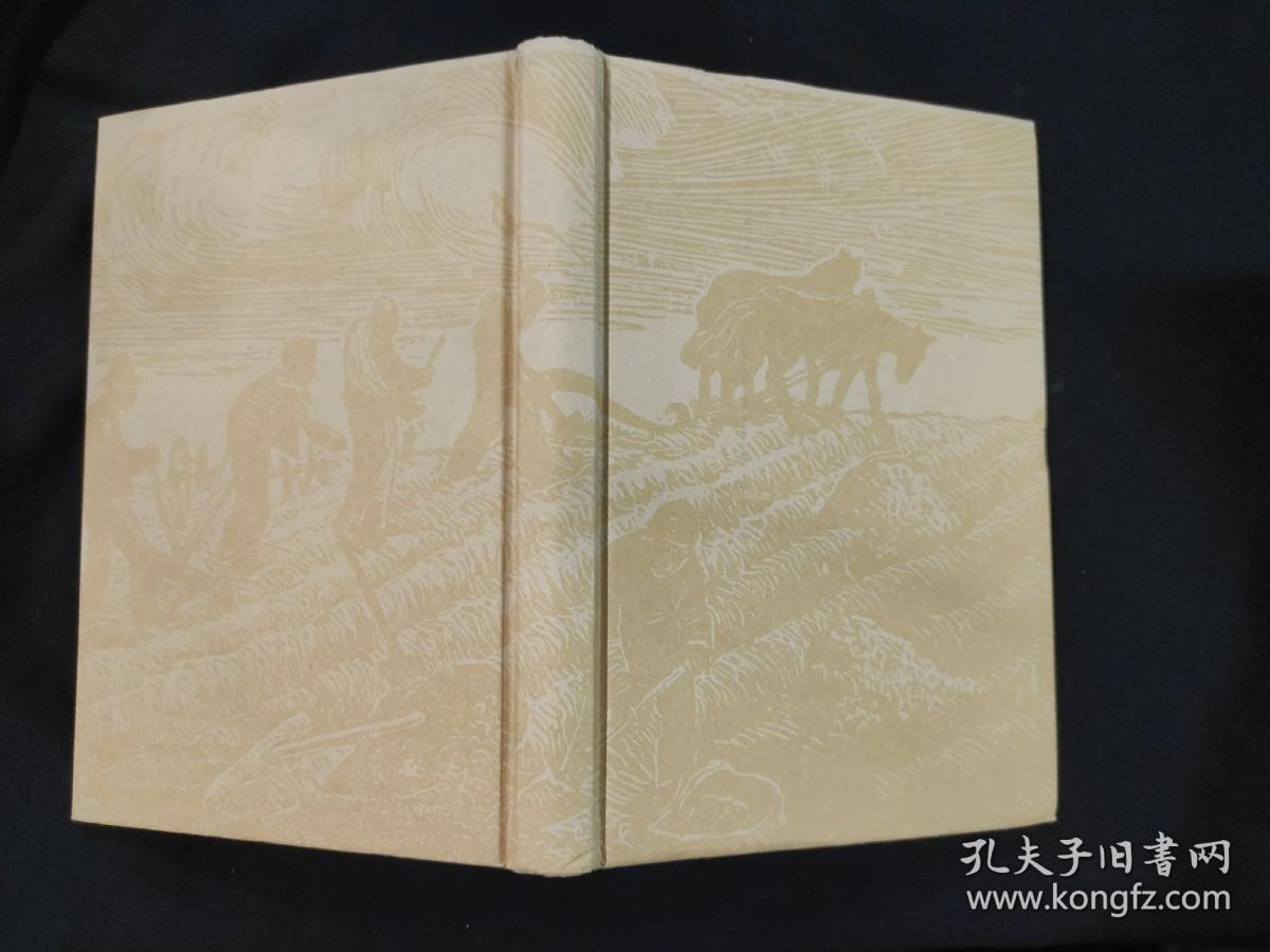 乡 土 中 国 乡 土 重 建 精装 书衣瑕疵，除去书衣近全新