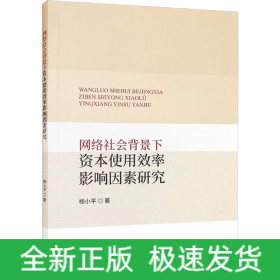 网络社会背景下资本使用效率影响因素研究