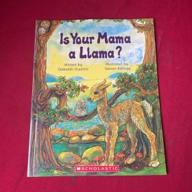 IS Your Mama a LLama