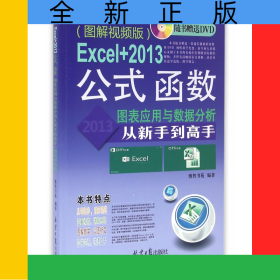Excel+2013公式函数图表应用与数据分析从新手到高手(附光盘图解视频版)