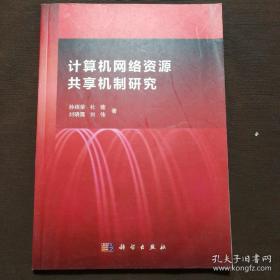 计算机网络资源共享机制研究