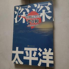 深深太平洋：在财富黑马严介和身边的800天