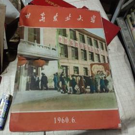 甘肃农业大学——1960年6月