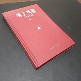 嘴上风暴：中国名刊年度佳作·年选系列丛书