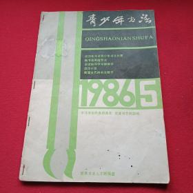 青少年书法 总第6期（杨公亮《如何学写柳体字》；徐迅《楷书笔画造型法》；张海龙《青少年学书要扎实》；谢端阶书法欣赏；载有张宁、孙晓云、舒炯、林锋、张剑、赵建昌、范正红、梁杨、陈书文、陈振濂、刘文华、鲁峰、李陇华、张孝征、曾来德、胡滨、薛军以及王林、苏宇志、张守镇、张李峰、王燕宁、唐广宇、胡飚、周莉、殷洁、孙华、王勇书法作品等）