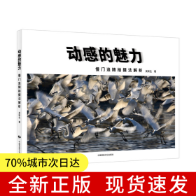 动感的魅力：慢门追随拍摄法解析