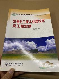 生物化工废水处理技术及工程实例——环境工程实例丛书