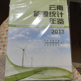 2013云南能源统计年鉴