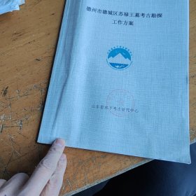 德州市苏禄王墓考古勘探工作方案