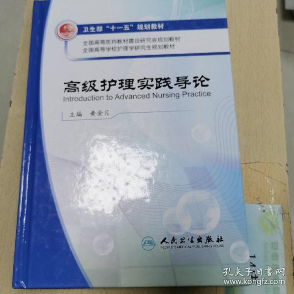 全国高等学校护理学研究生规划教材：高级护理实践导论