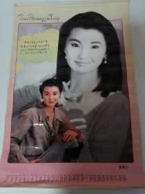 1995年天皇巨星.挂历（塑膜）