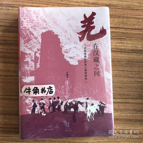 羌在汉藏之间：川西羌族的历史人类学研究（《华夏边缘》作者王明珂经典力作，川西羌族全解）