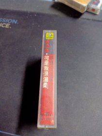 赵传&红十字合唱团《我很丑 可是我很温柔》老磁带,滚石供版,北京青少年音像出版