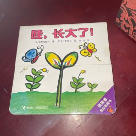 哇，长大了！/猜猜看推拉玩具书