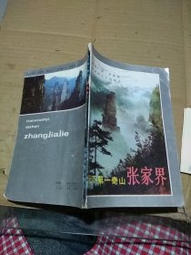 天下第一奇山 张家界