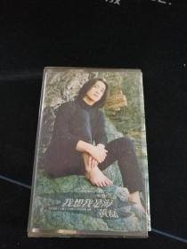 《黄磊 我想我是海》磁带，丰华供版，上海音像公司出版