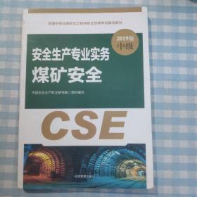 注册安全工程师2019教材煤矿安全专业实务全国中级注册安全工程师职业资格考试辅导教材2019版