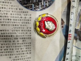 武汉钢公汽革委会，葵花党徽外文