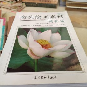 案头绘画素材荷花篇+牡丹篇