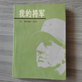 我的将军