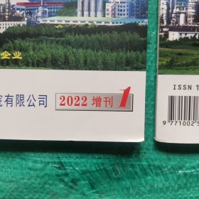 大氮肥(2022年9月 笫45卷 增刊1.2)合售