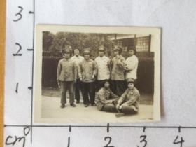 50年代中国人民解放军八位漂亮女空军着50式军服合影照片(50年代空军张惠茵相册，少见女空军)