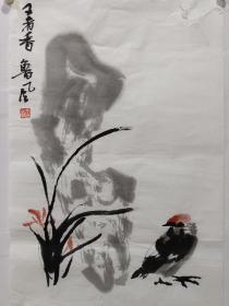 鲁风，花鸟画软片