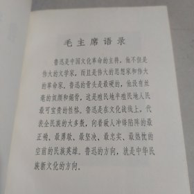 鲁迅杂文选