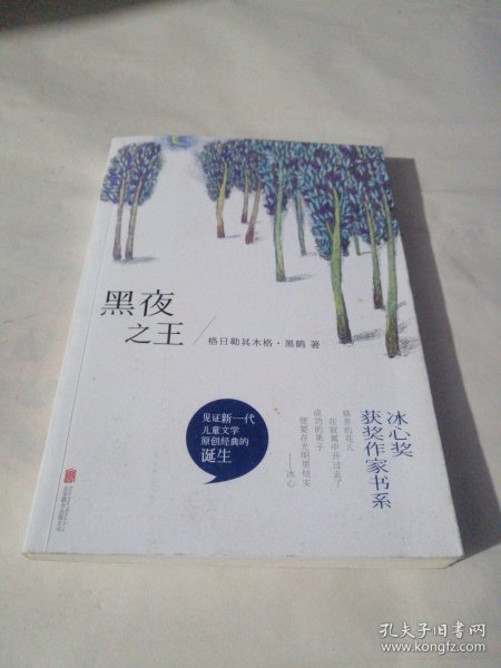 冰心奖获奖作家书系：黑夜之王（签名本）
