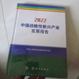 2022中国战略性新兴产业发展报告