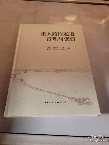 重大跨海通道管理与创新