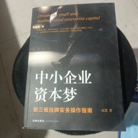 中小企业资本梦：新三板挂牌实务操作指南