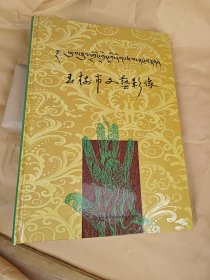 玉树市文艺影像（硬精装）（藏汉对照）