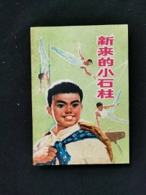 新来的小石柱（长篇小说）